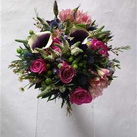 fwthumb1 (15).jpg